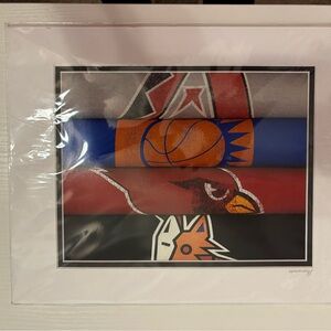 Arizona Sports Team Art Print